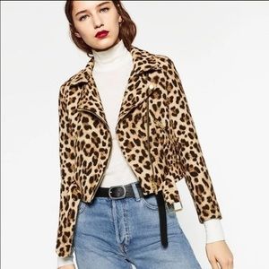 ZARA LEOPARD MOTO JACKET